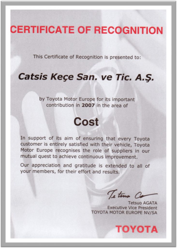 2007_TOYOTA_ODULLERI_cost_maliyet_odulu_Catsis