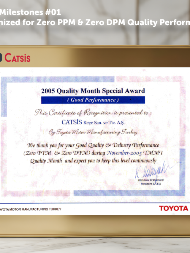 CATSİS Quality Milestones  2005