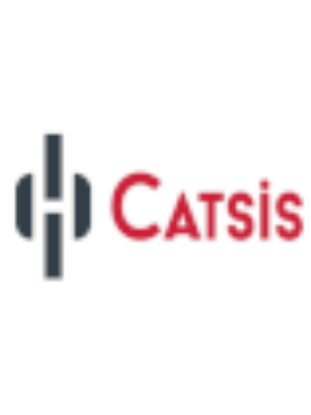 CATSİS Quality Milestones 2005